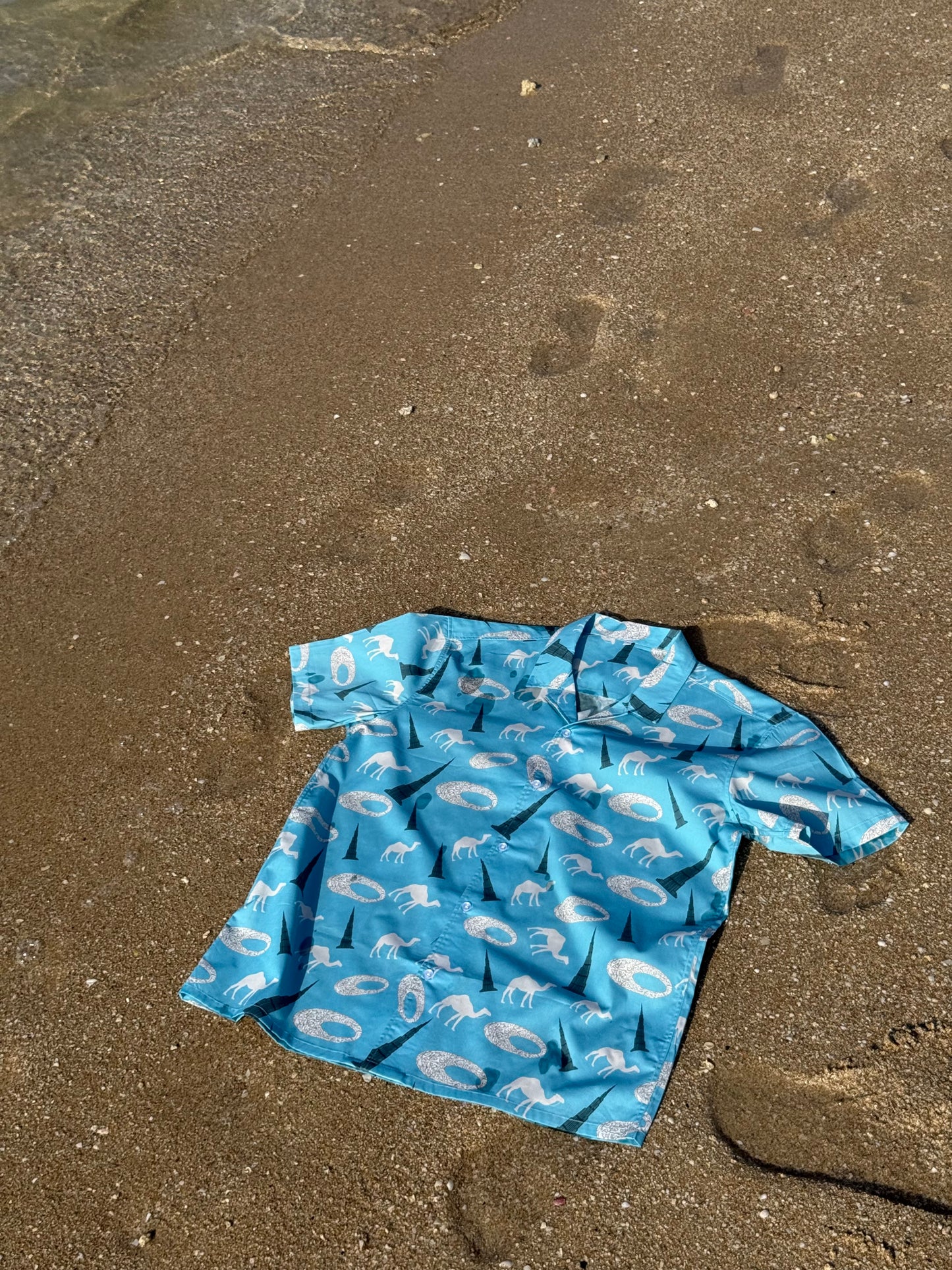 Light blue button-up shirt